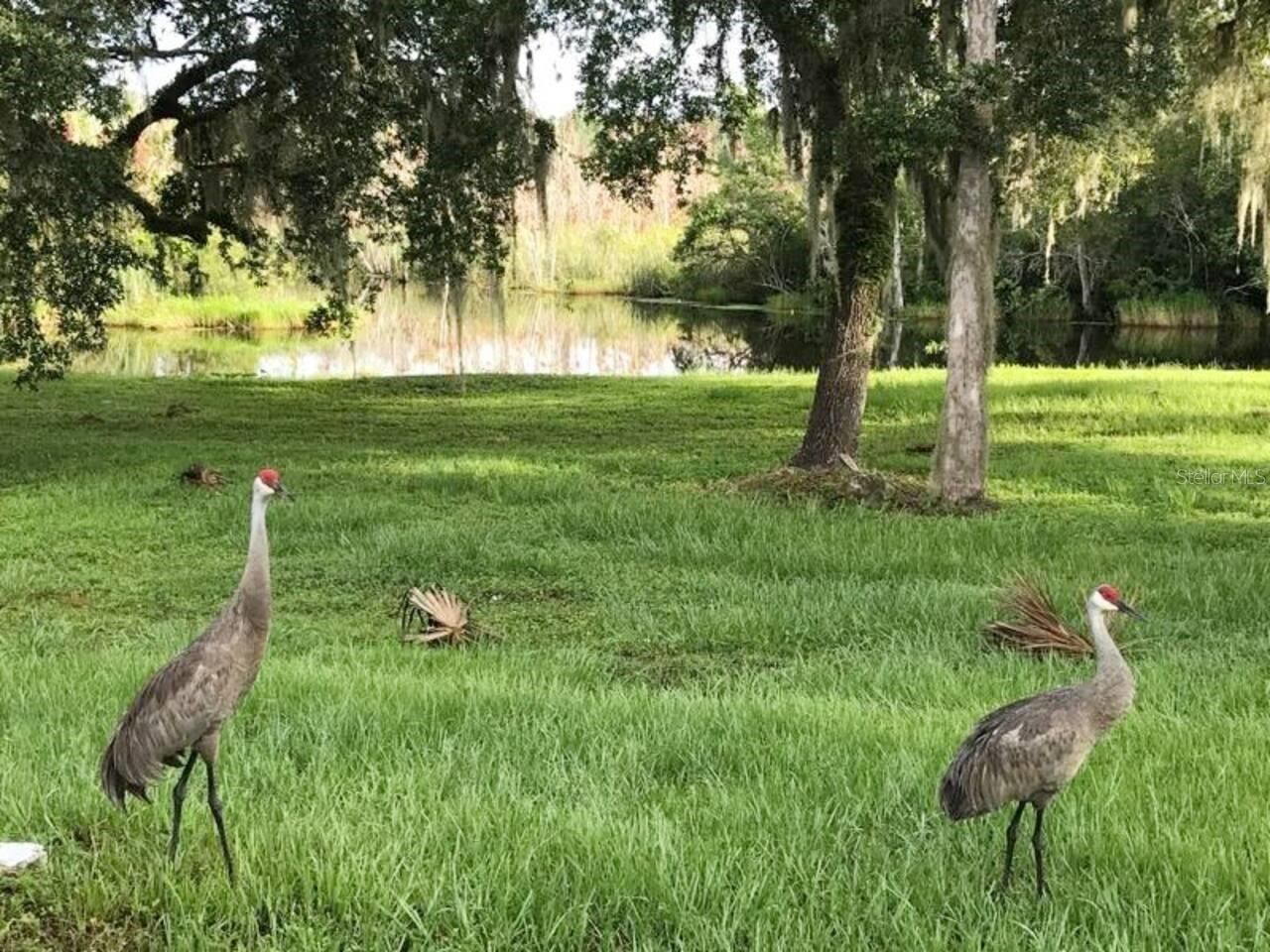 Listing photo id 69 for 1423 Lagoon Point