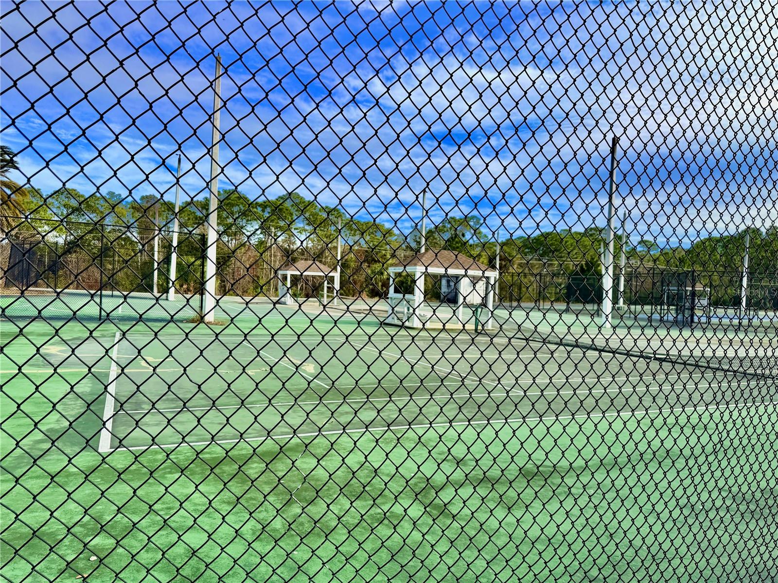 Image 40 of 40 For 152 Loon Court