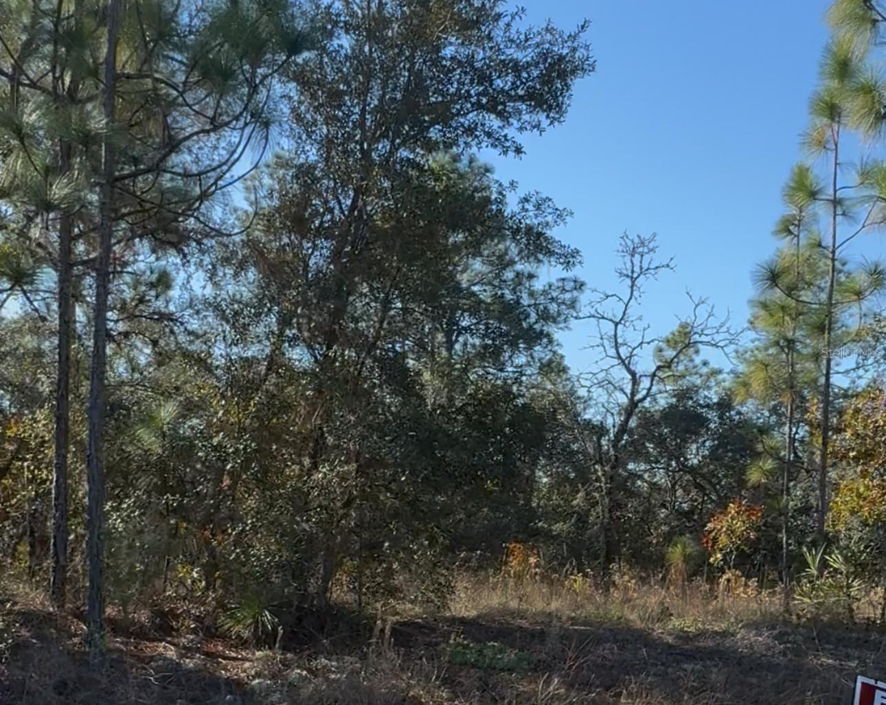 Listing photo id 2 for 6783 Pavilion Loop