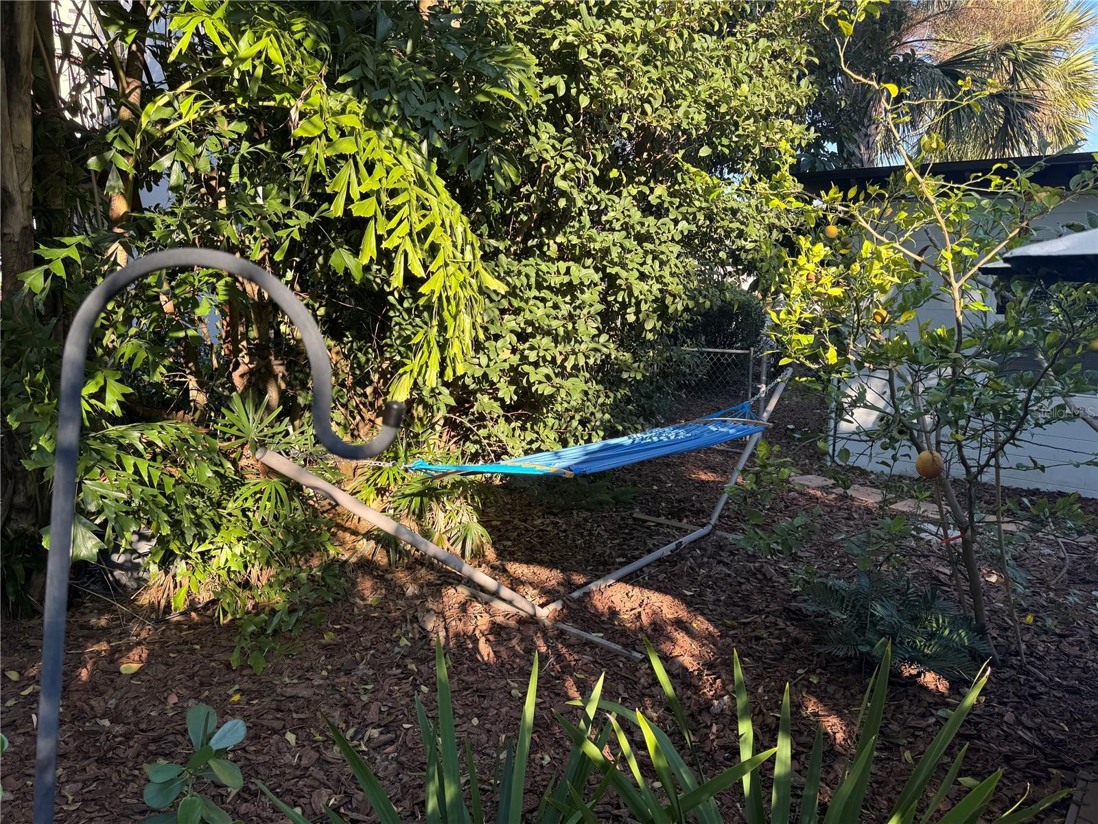 Image 28 of 31 For 4038 Ibis Drive