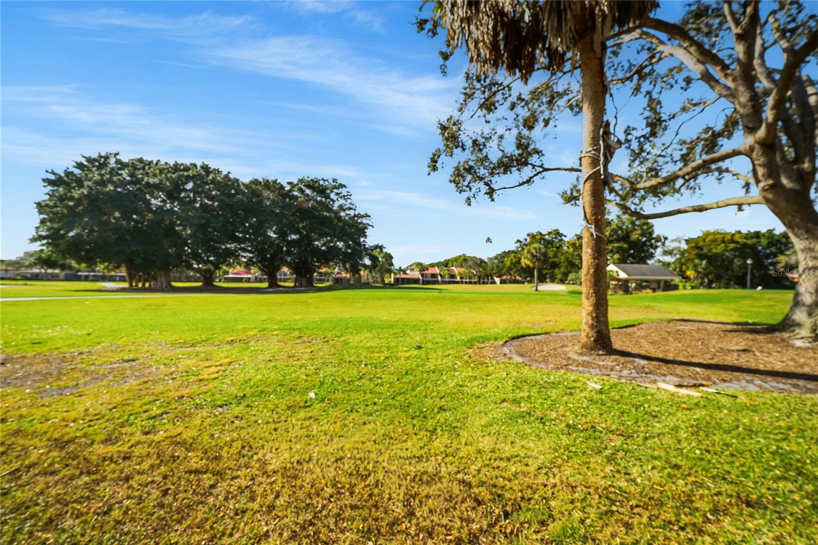 Image 32 of 34 For 58 Windsor Lane