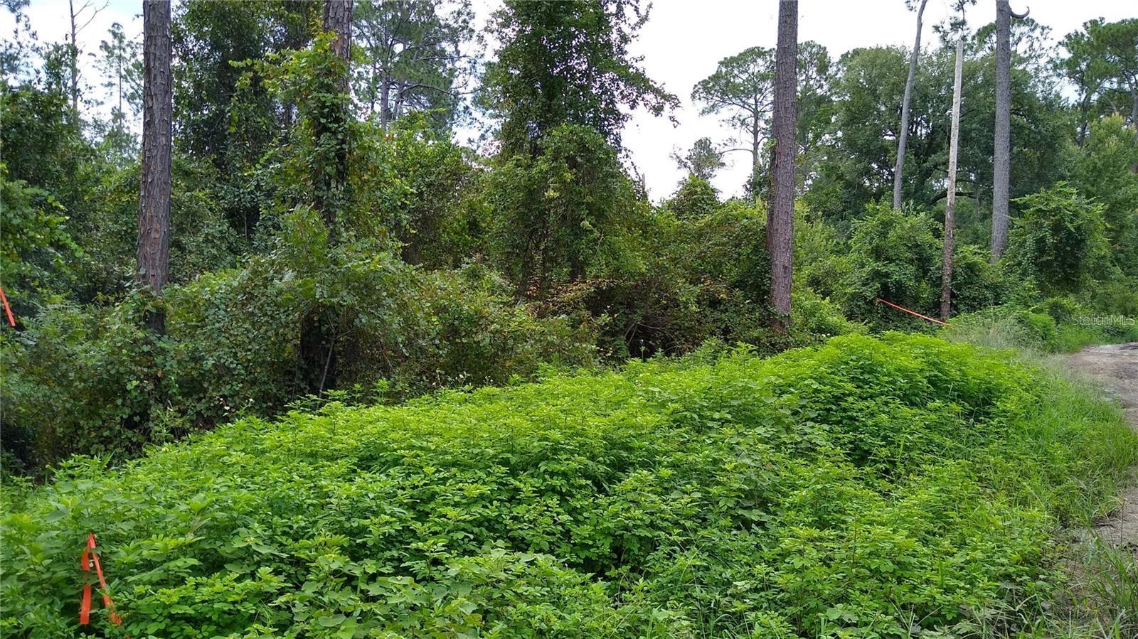 Image 2 of 4 For  12th Avenue 