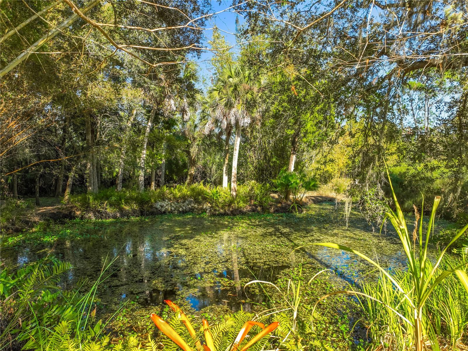 Image 51 of 60 For 1825 Pams Way