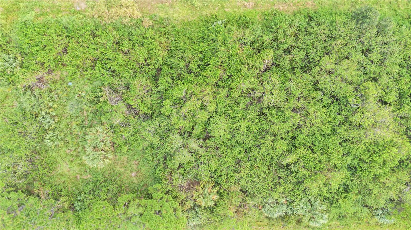 Image 9 of 14 For 2533 Valentine Avenue Sw