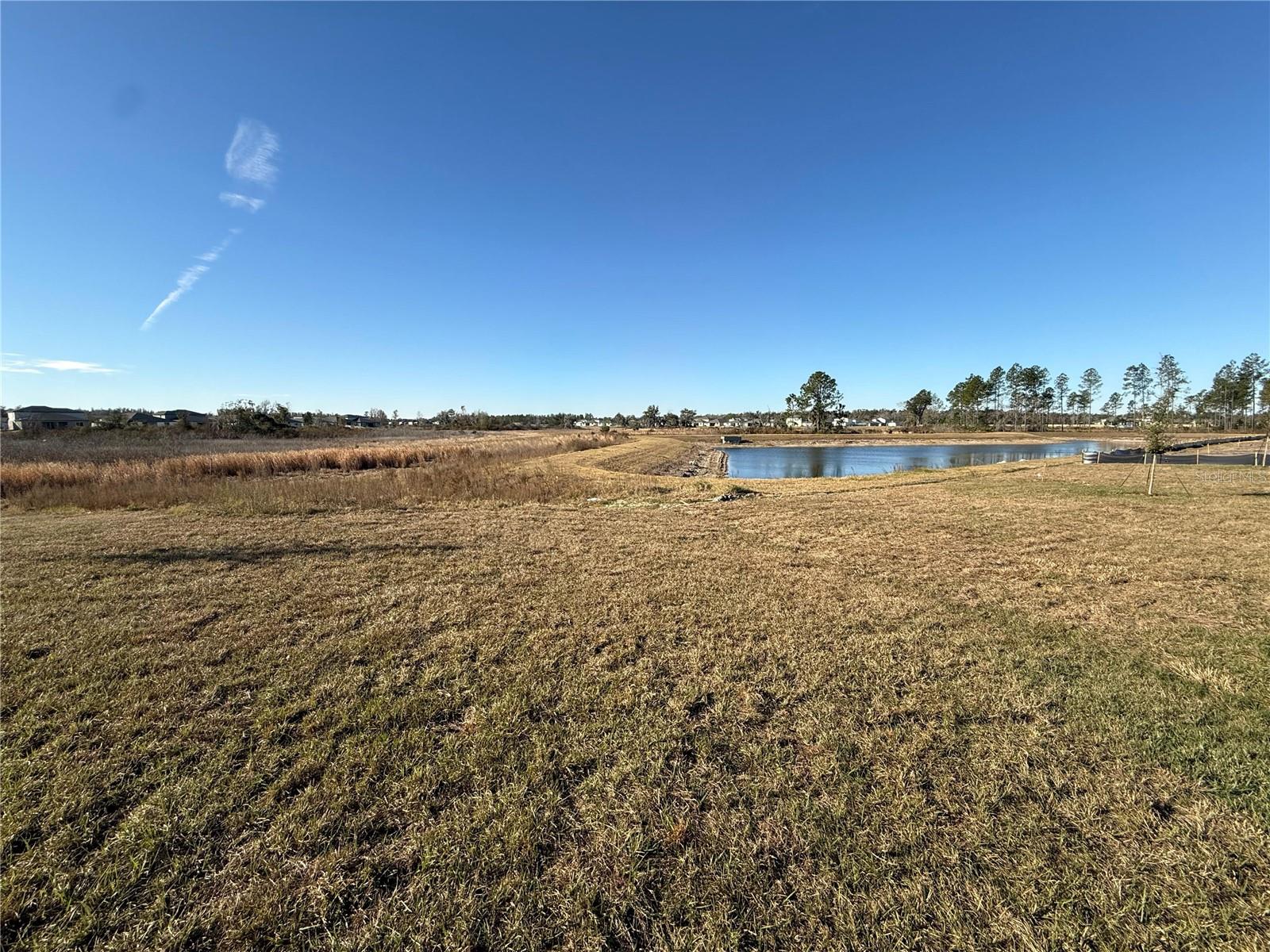 Image 19 of 47 For 36776 Sagemoor Drive