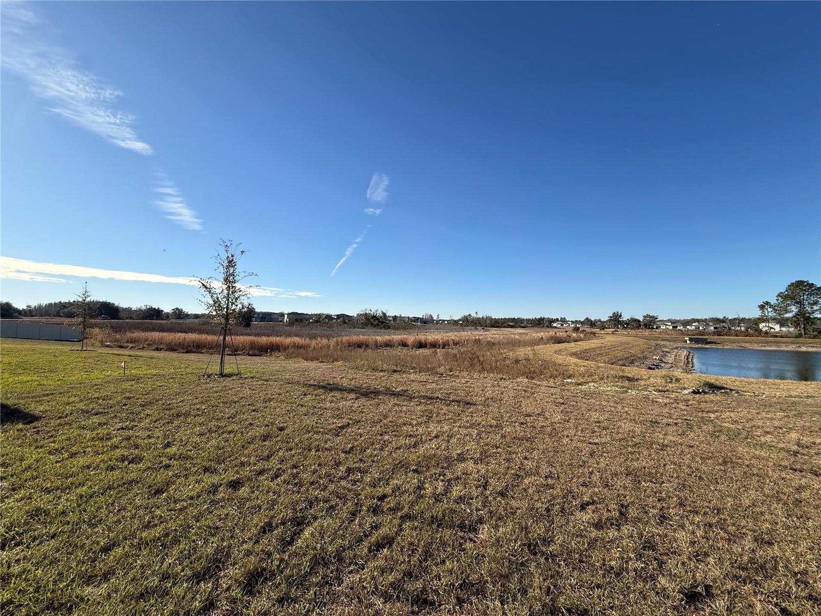 Image 21 of 47 For 36776 Sagemoor Drive