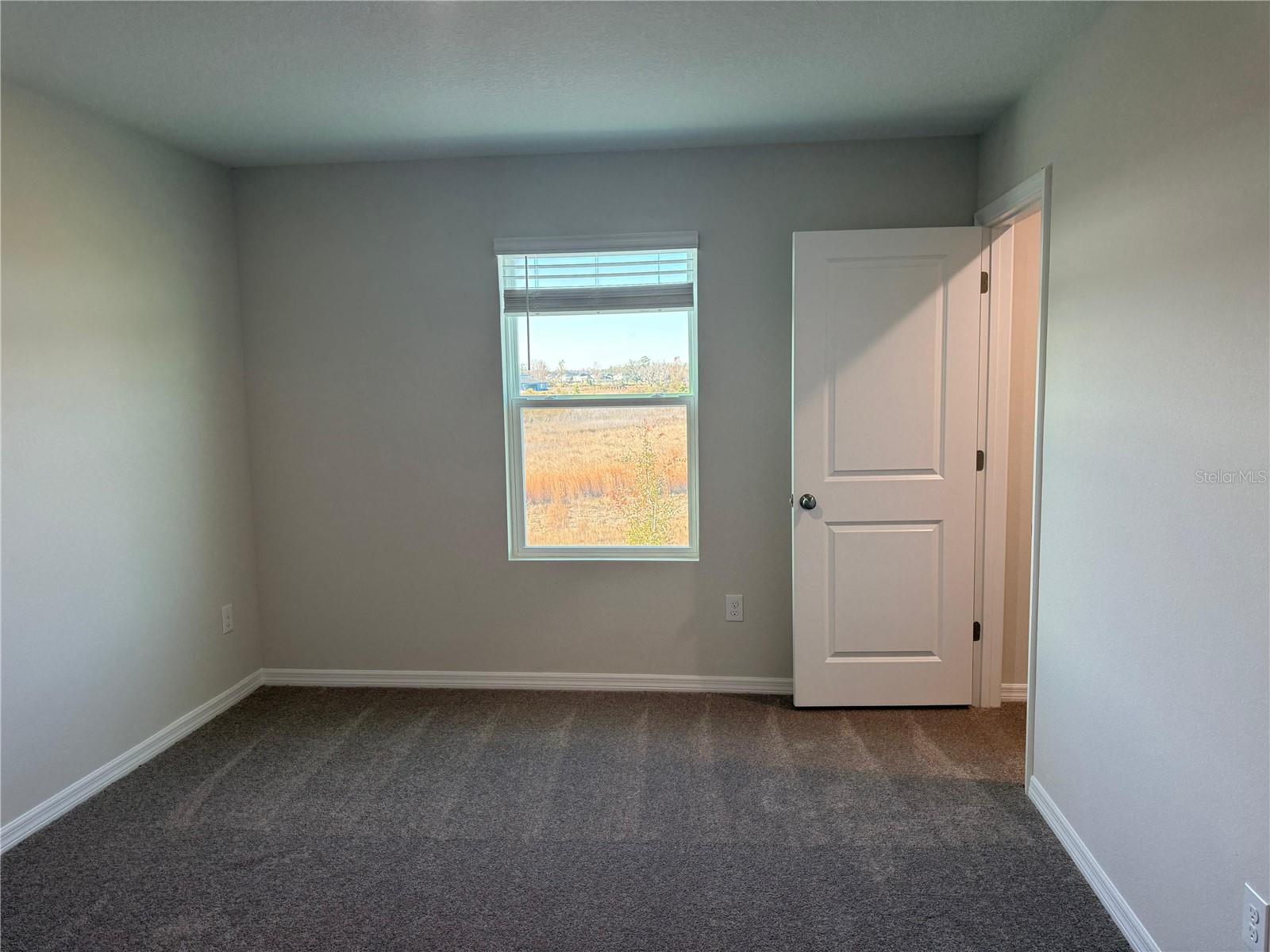 Image 41 of 47 For 36776 Sagemoor Drive