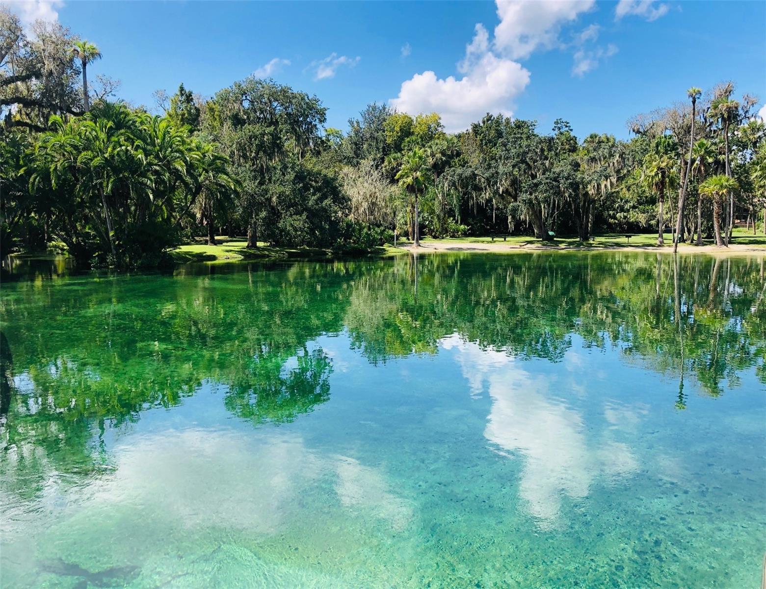 Image 74 of 91 For 209 Sweet Gum Way