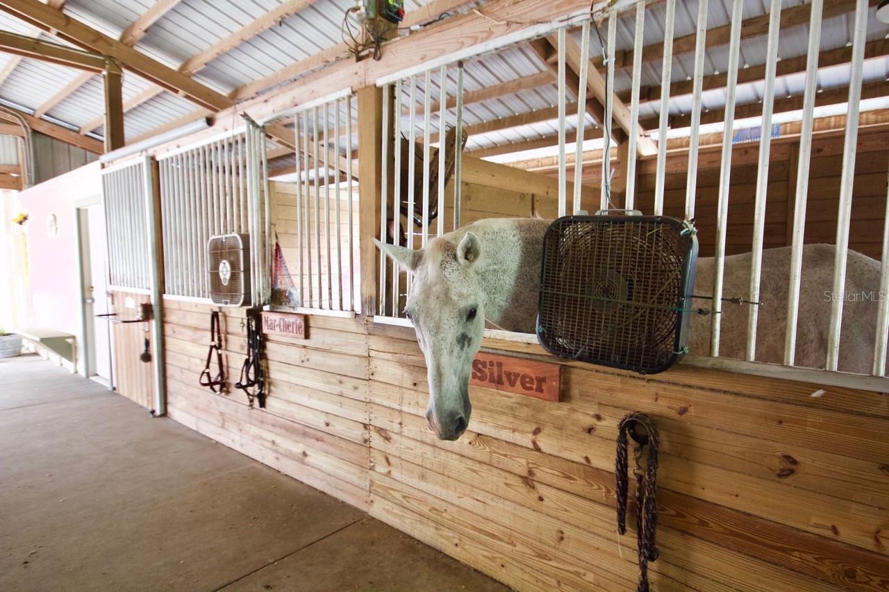 Image 81 of 91 For 209 Sweet Gum Way