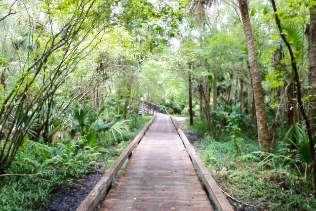 Image 86 of 91 For 209 Sweet Gum Way