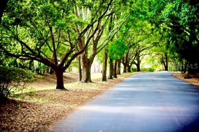 Image 87 of 91 For 209 Sweet Gum Way