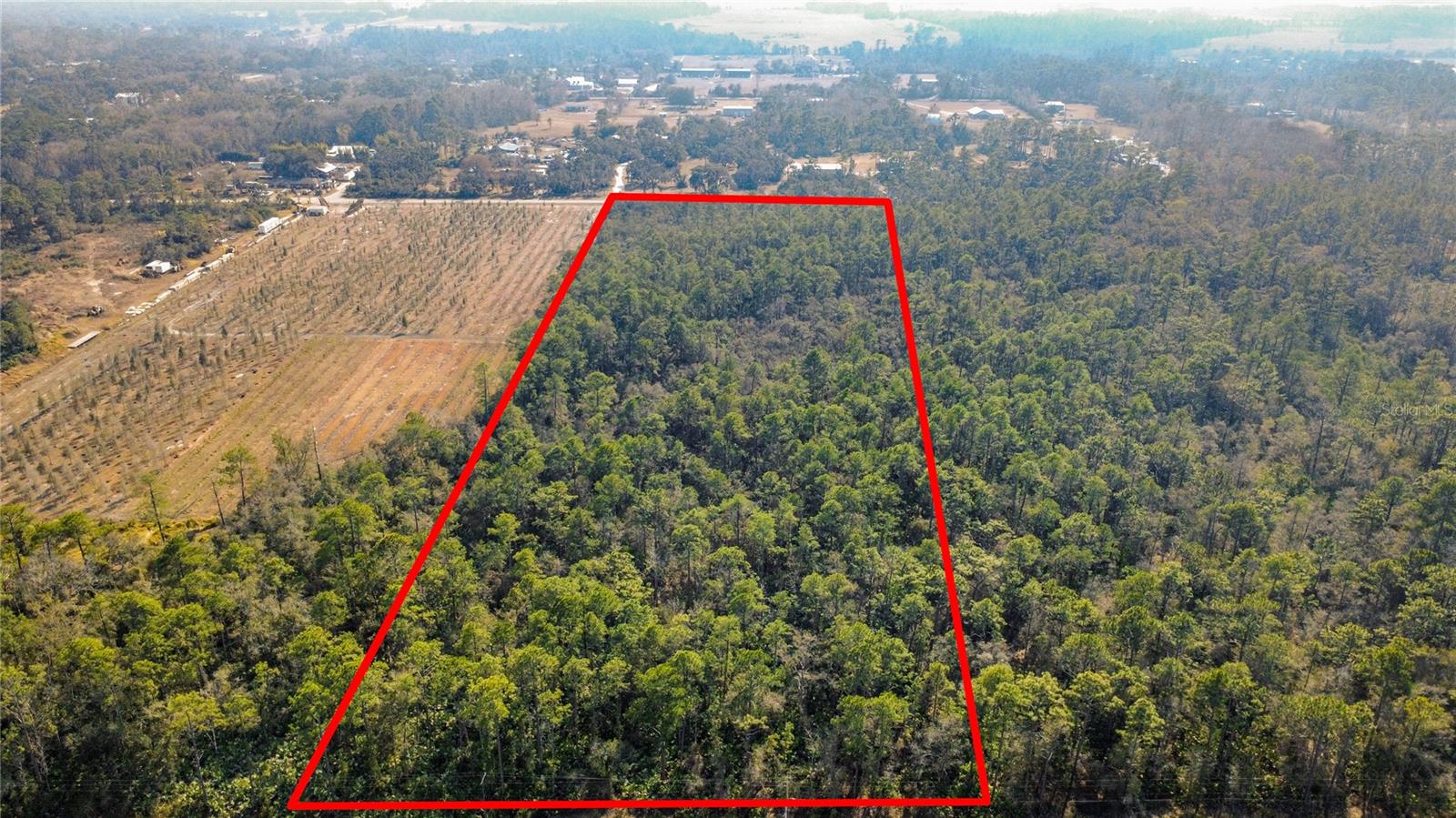 Image 11 of 16 For E Colonial Drive