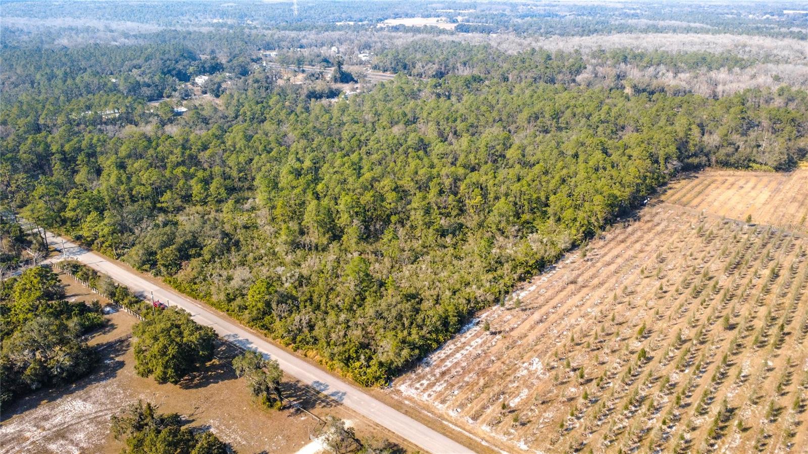 Image 13 of 16 For E Colonial Drive