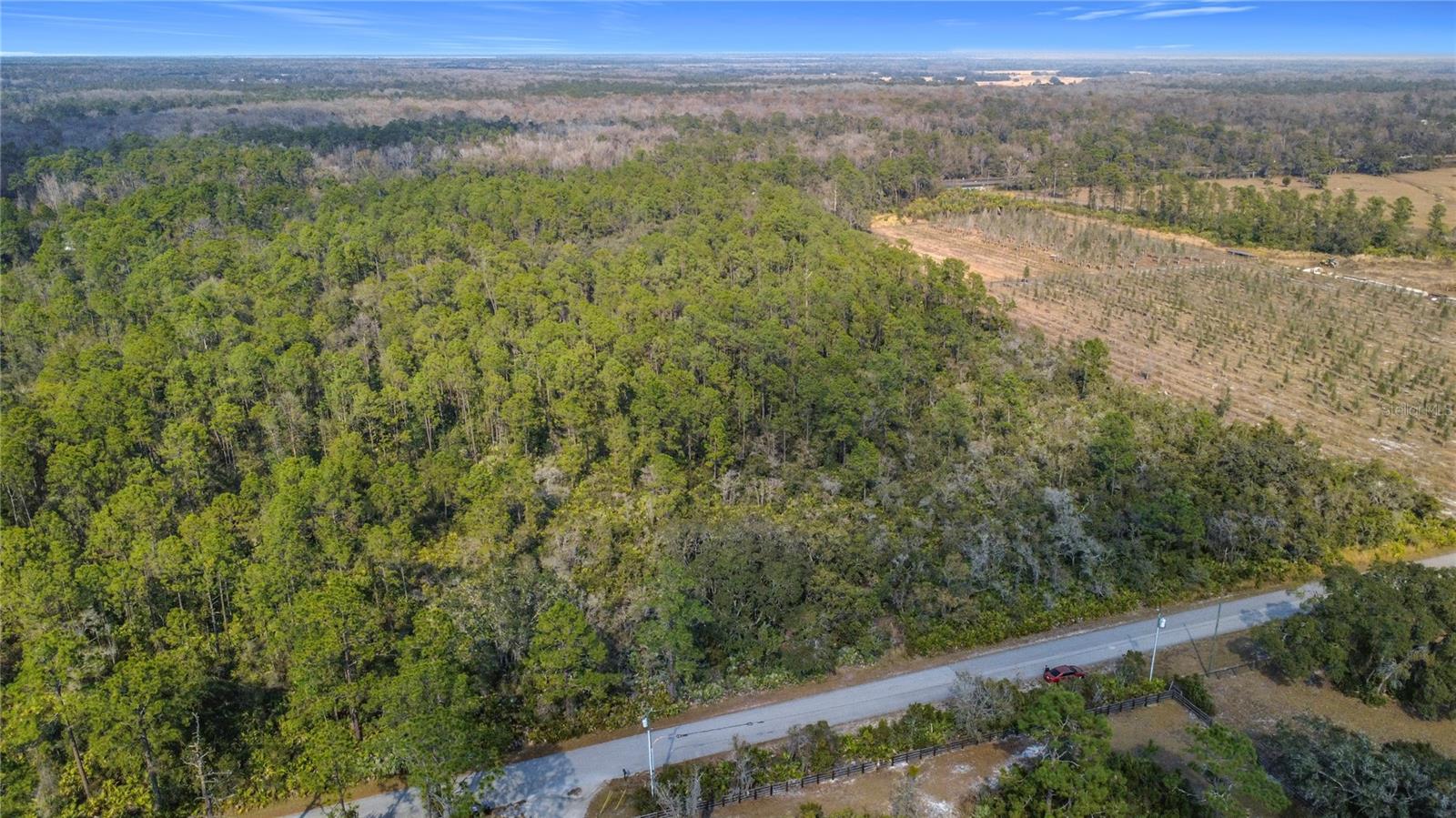 Image 15 of 16 For E Colonial Drive