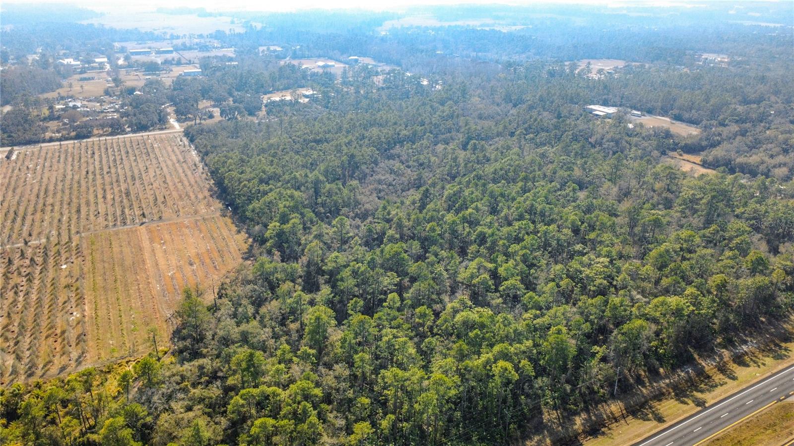 Image 5 of 16 For E Colonial Drive