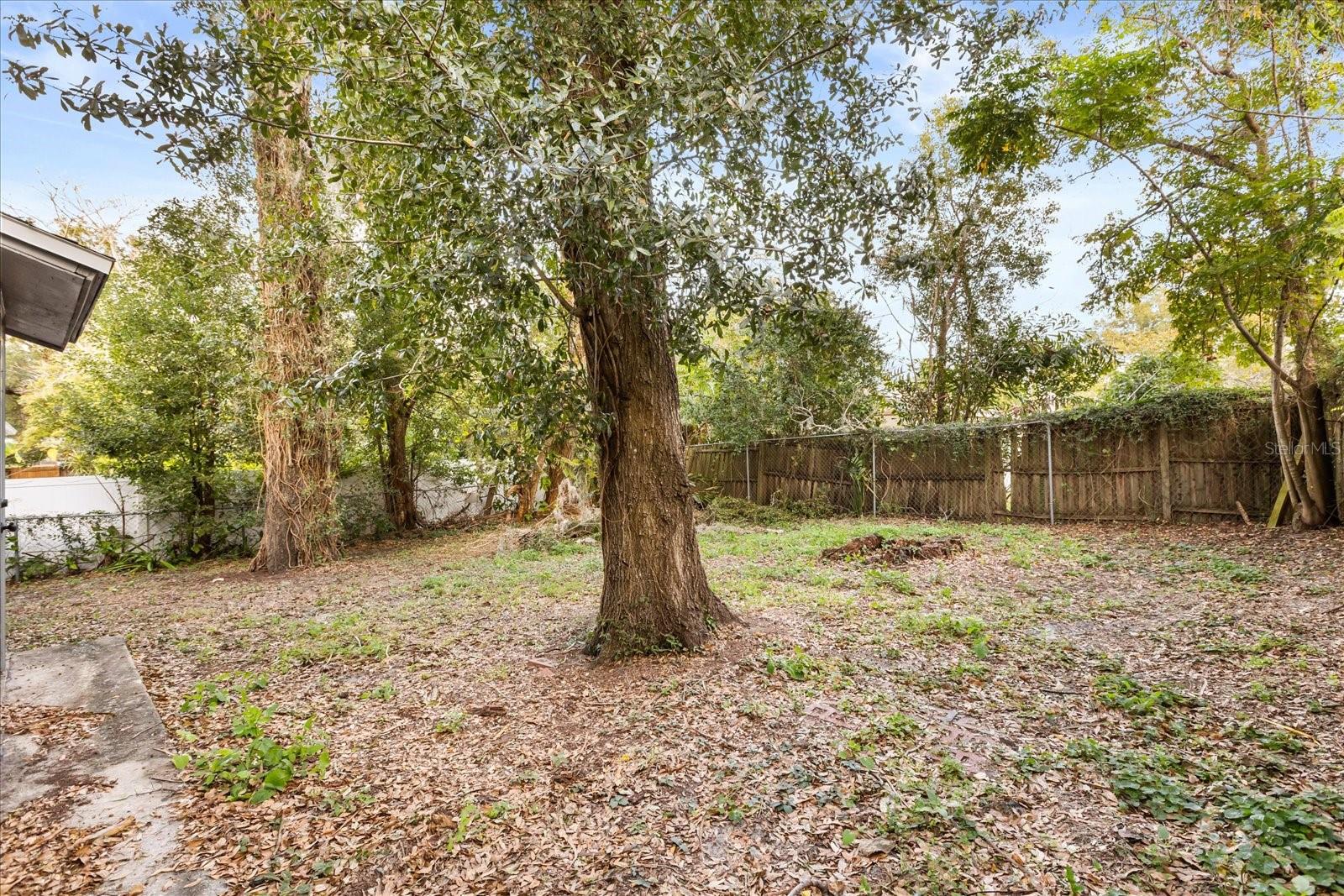 Image 17 of 19 For 2507 Newberry Street