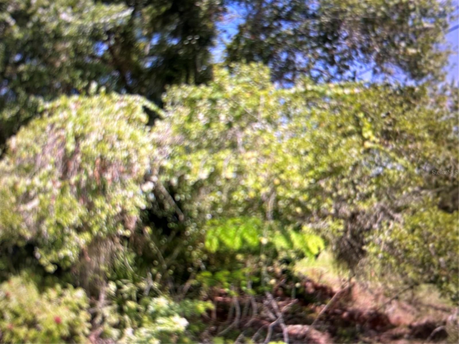 Image 2 of 4 For 1697 Waneta St