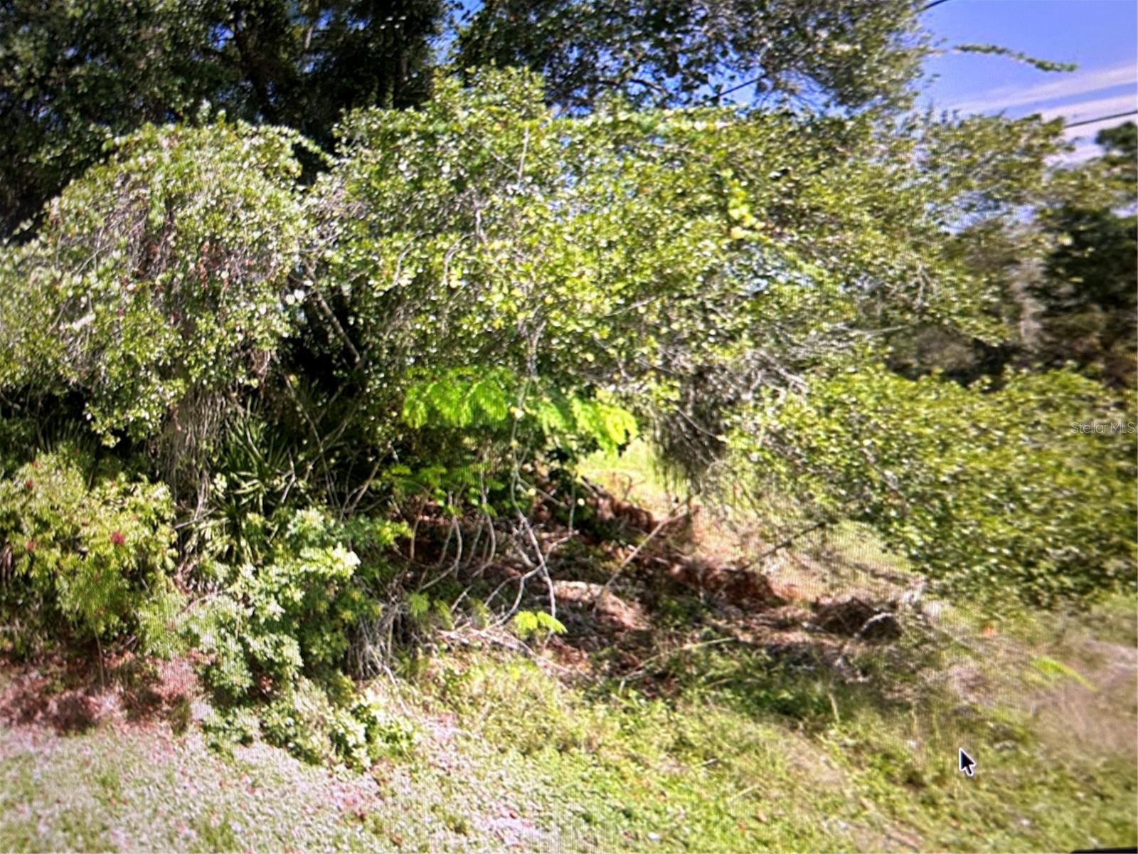 Image 4 of 4 For 1697 Waneta St