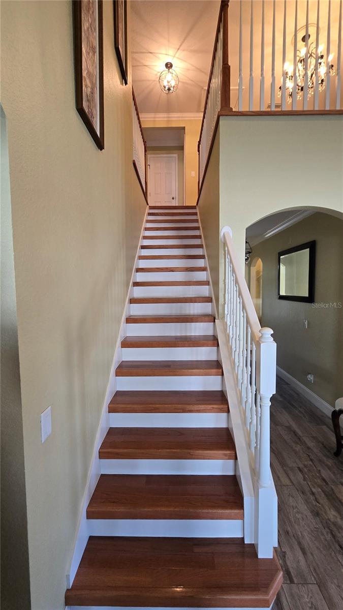 Image 51 of 92 For 2591 Sand Hill Point Circle