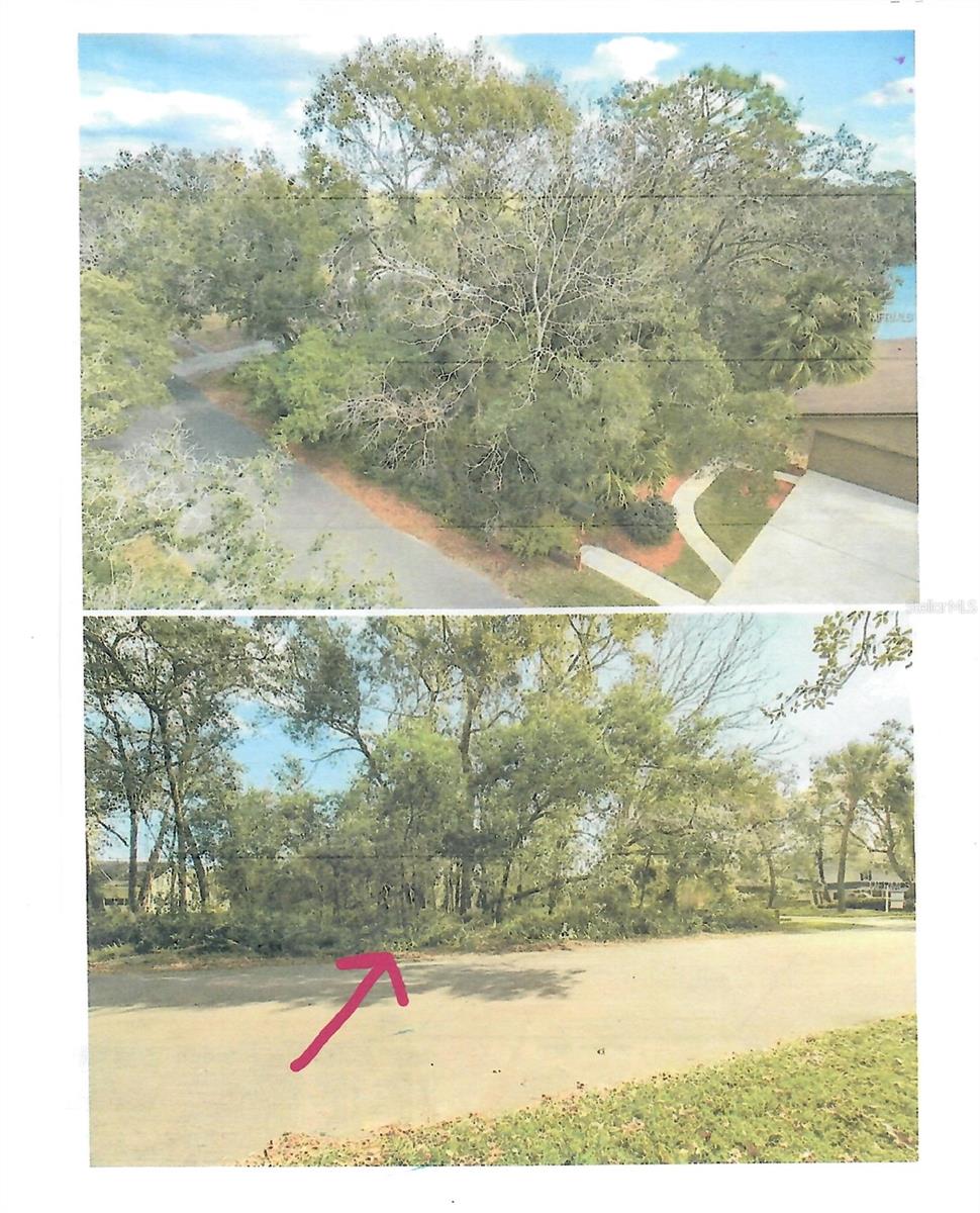 Image 2 of 3 For 421 Cardinal Oaks Court