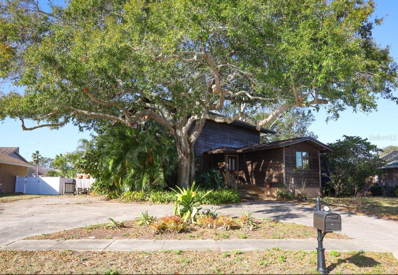 Image 4 of 43 For 3140 Demaret Drive