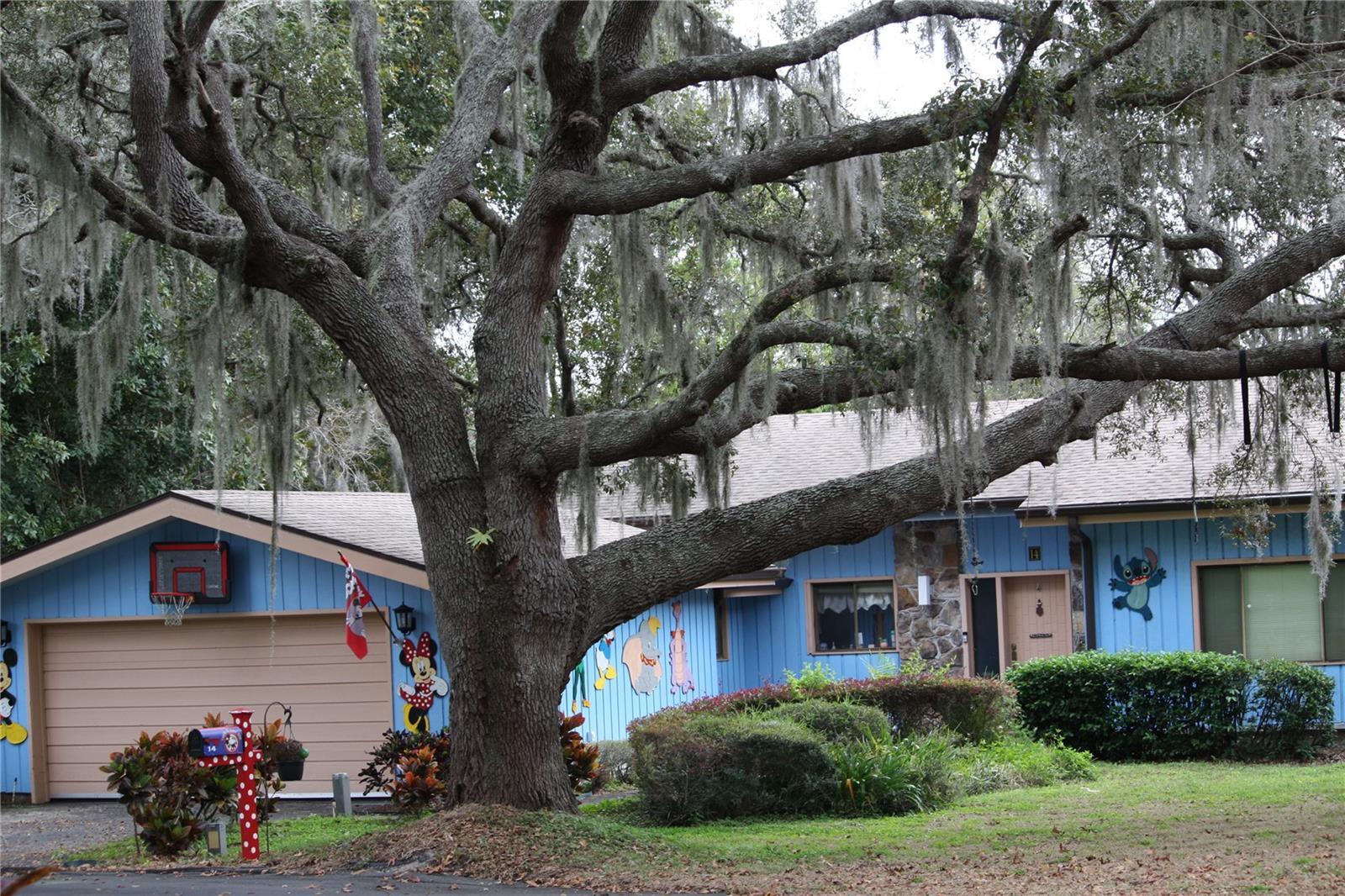 Image 31 of 34 For 14 Canterbury Drive