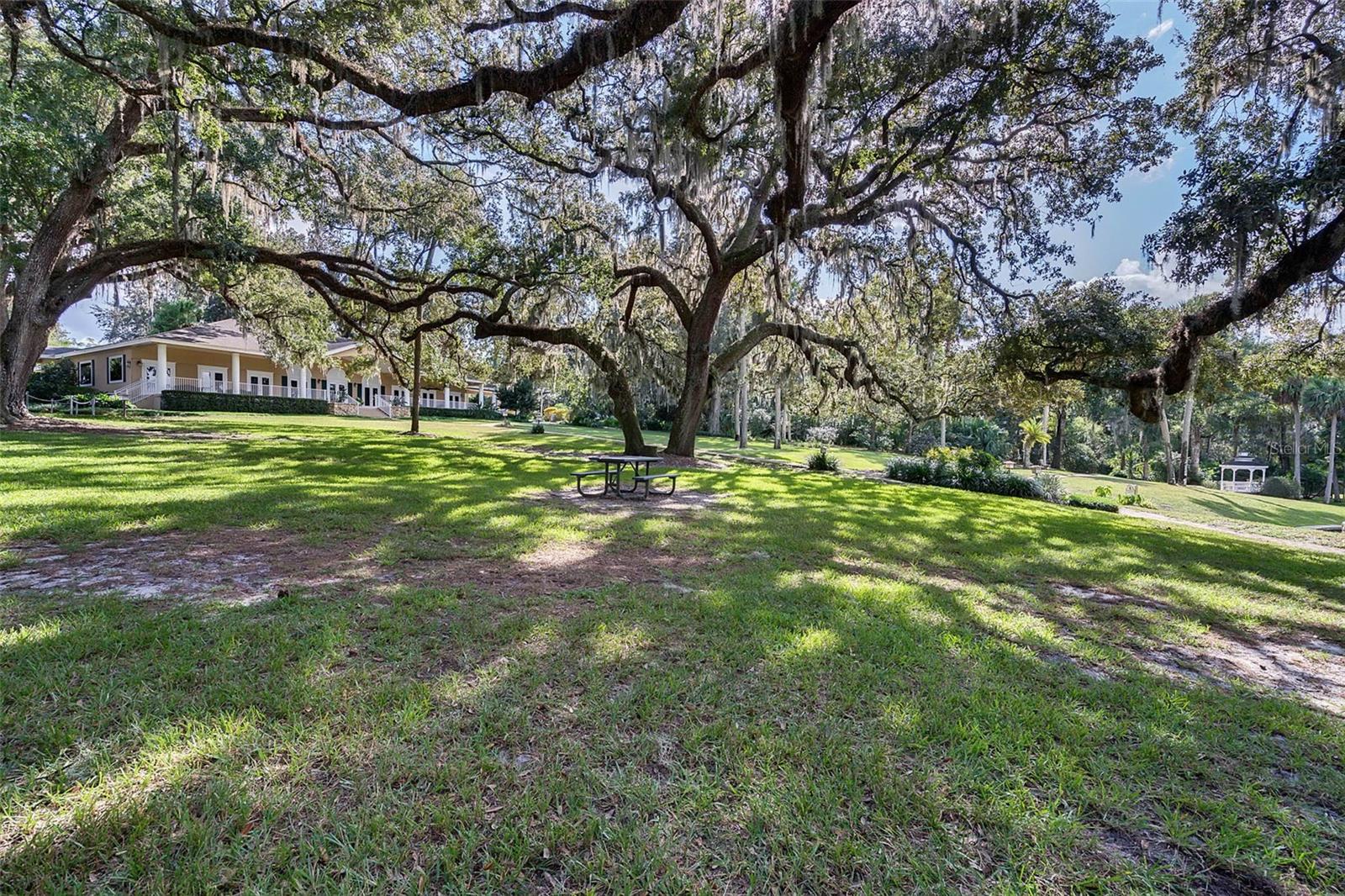 Image 59 of 65 For 202 Jasmine Lane