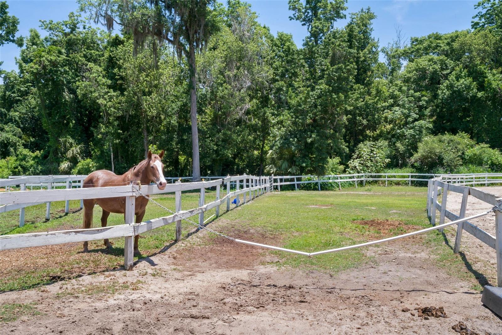 Image 63 of 65 For 202 Jasmine Lane