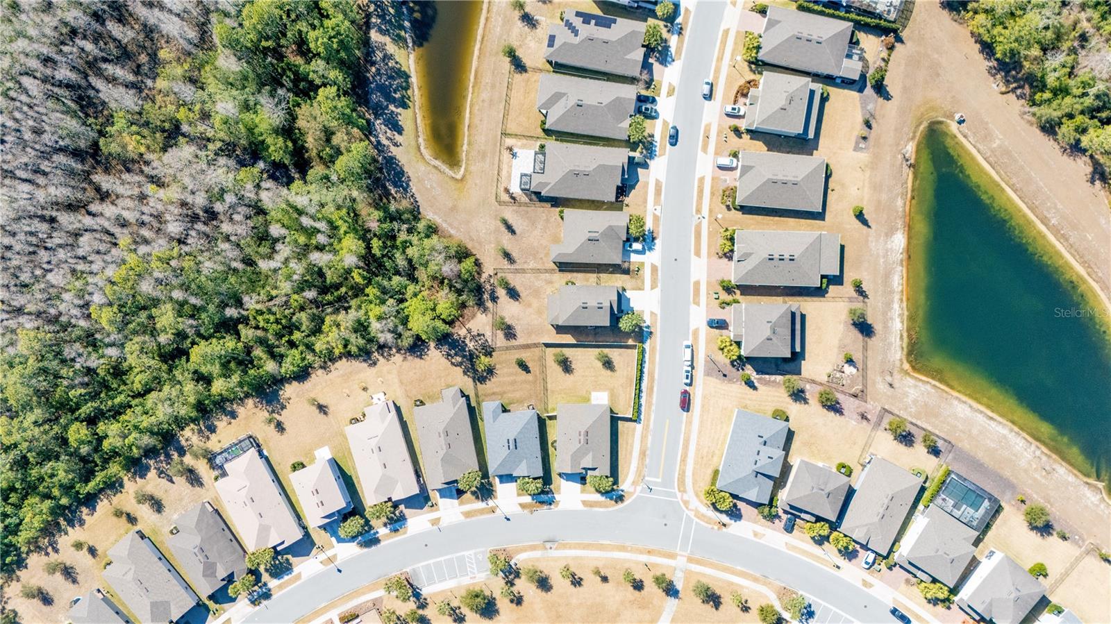 Image 43 of 55 For 17128 Basswood Lane