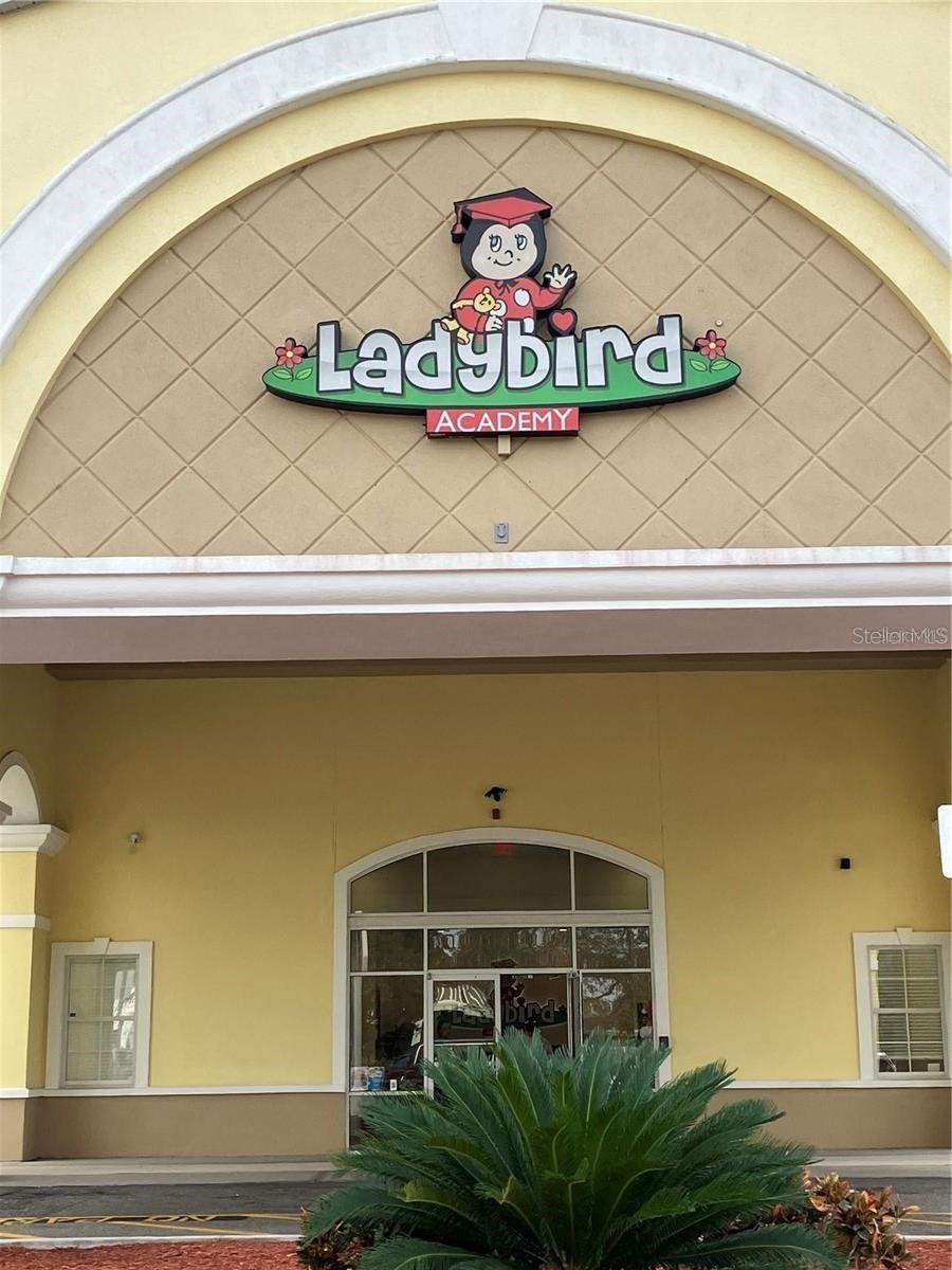 Image 43 of 67 For 2104 Victoria Falls Drive