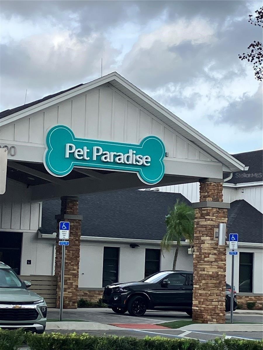 Image 47 of 67 For 2104 Victoria Falls Drive