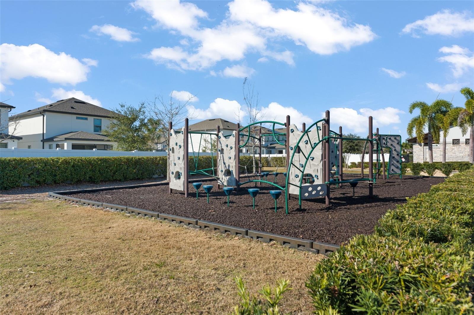 Image 42 of 46 For 9847 Aurea Moss Lane