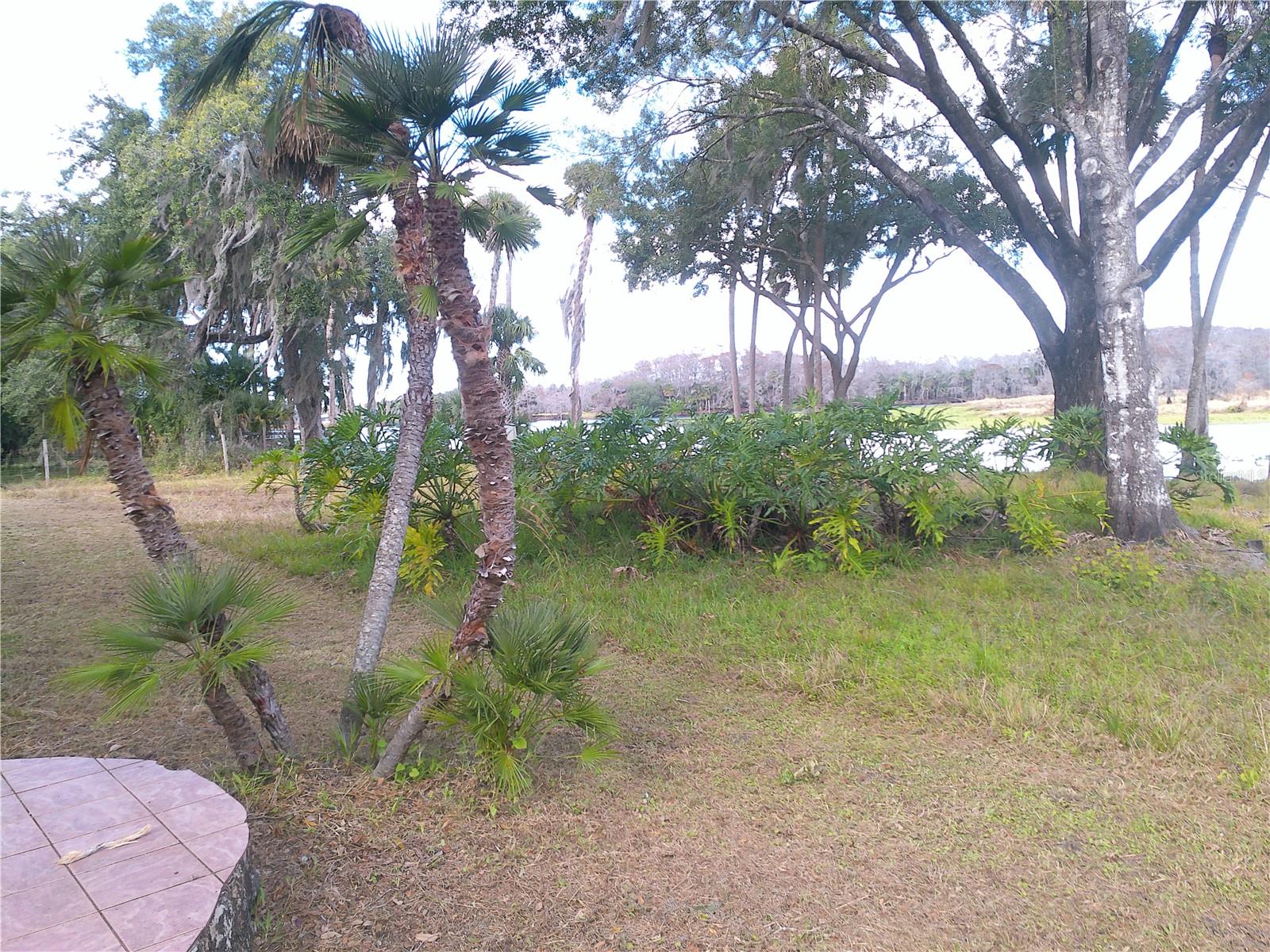 Image 6 of 37 For 3821 Osceola Road