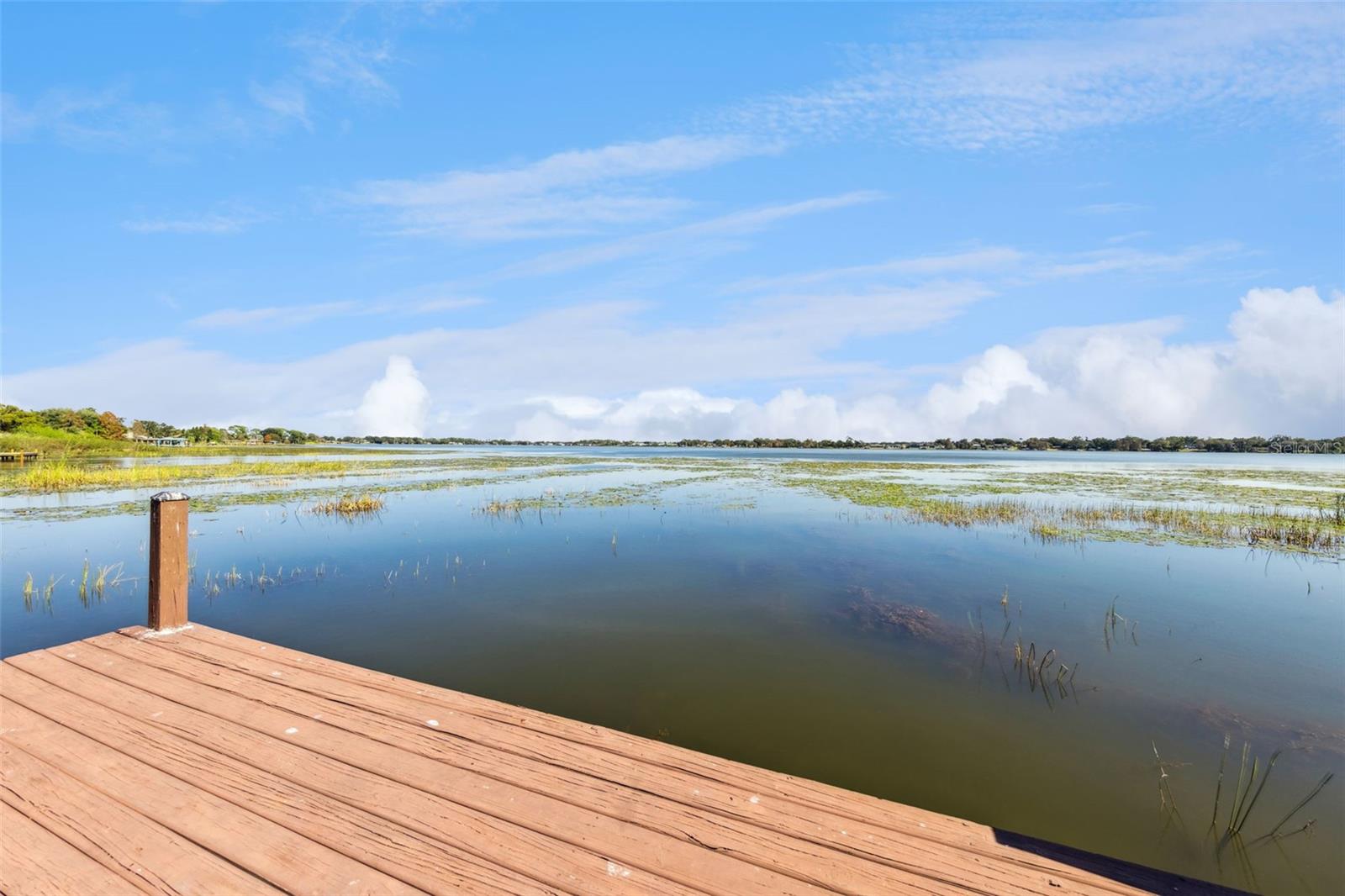 Image 44 of 57 For 2410 Hartridge Point Drive W