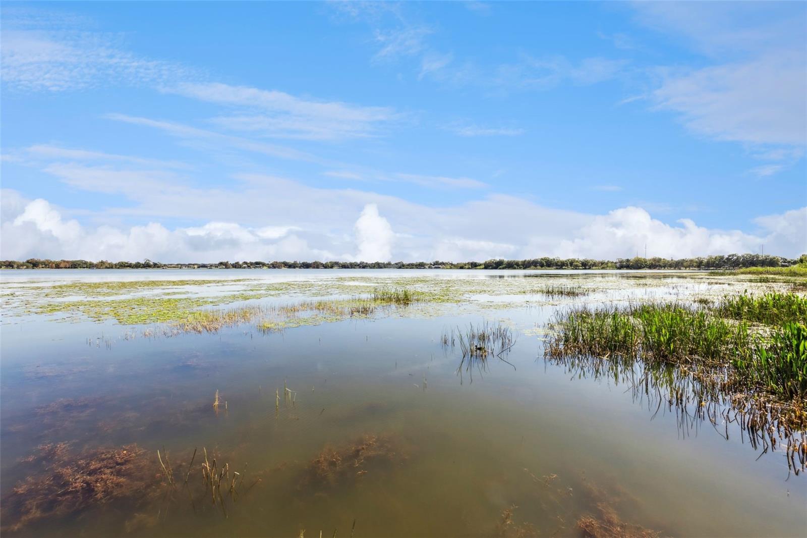 Image 46 of 57 For 2410 Hartridge Point Drive W