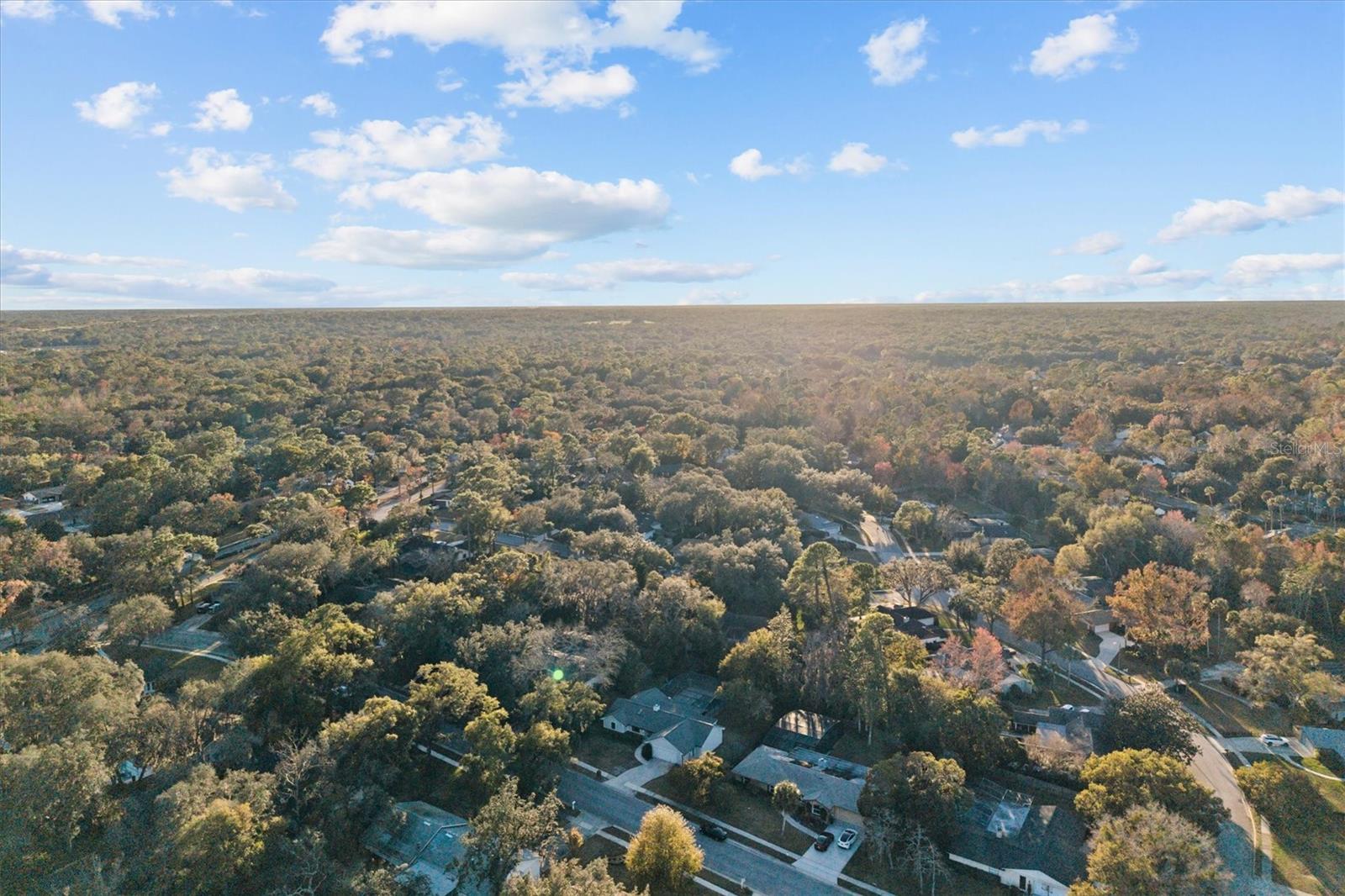 Image 41 of 44 For 109 Country Hill Drive