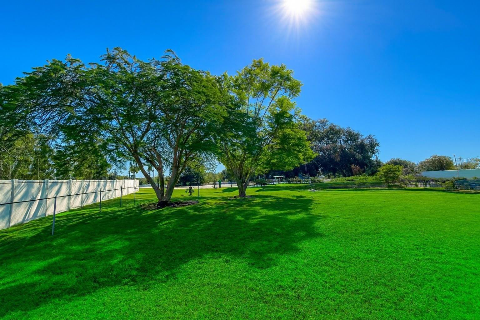 Image 3 of 22 For 12255 Florida Woods Lane