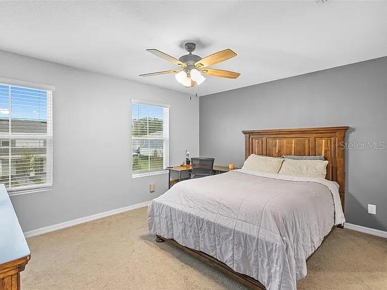 Image 13 of 20 For 635 Belgrove Street