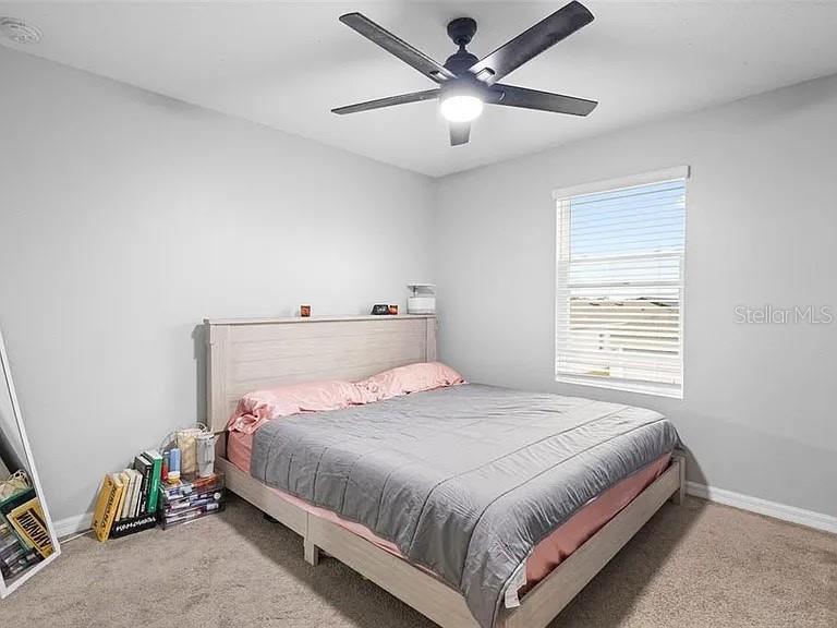 Image 16 of 20 For 635 Belgrove Street