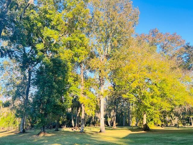 Image 13 of 47 For 5141 Magnolia Ridge Road