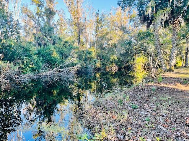 Image 17 of 47 For 5141 Magnolia Ridge Road