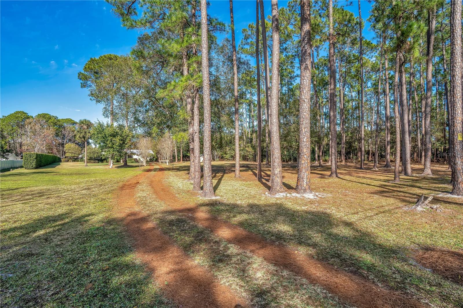 Image 2 of 53 For 11451 Fangorn Road