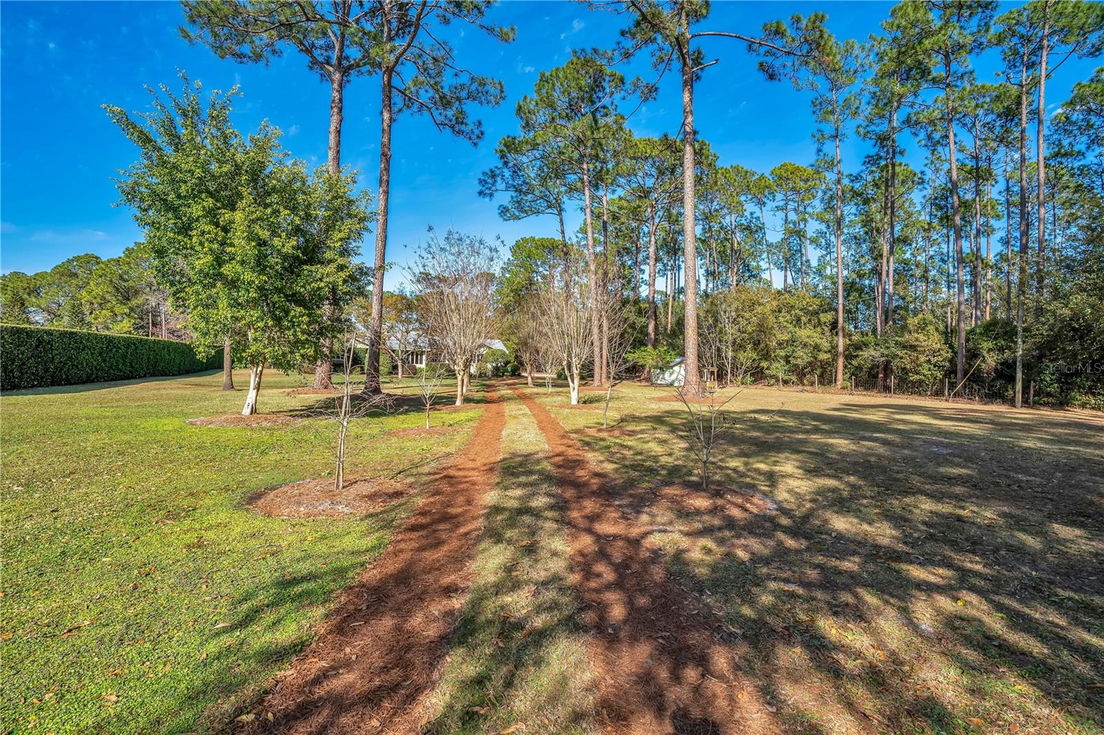 Image 3 of 53 For 11451 Fangorn Road