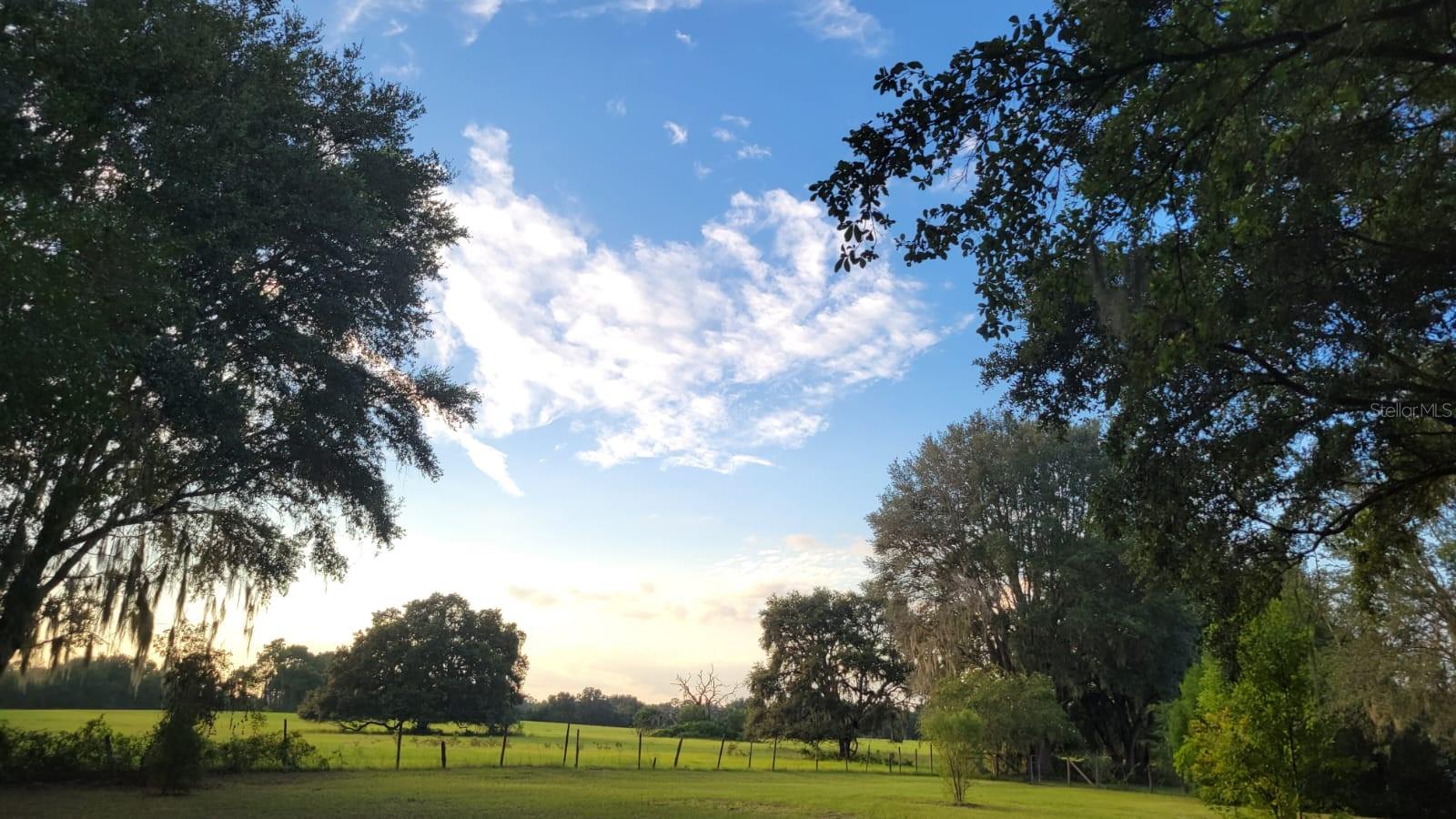 Image 3 of 27 For 2800 Hammock Grove Road