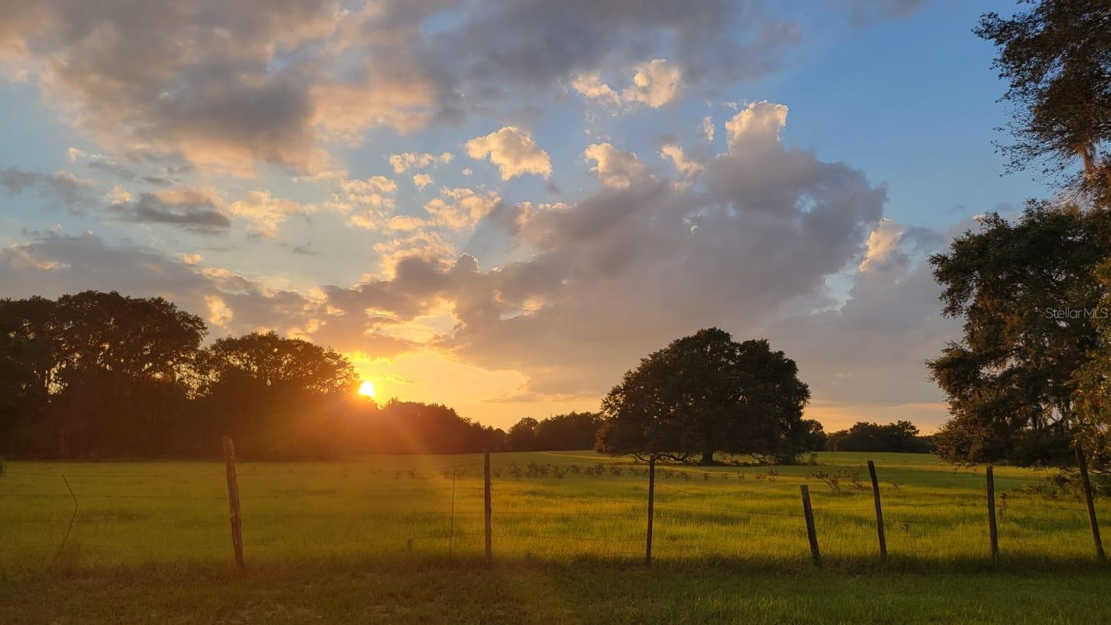 Image 5 of 27 For 2800 Hammock Grove Road