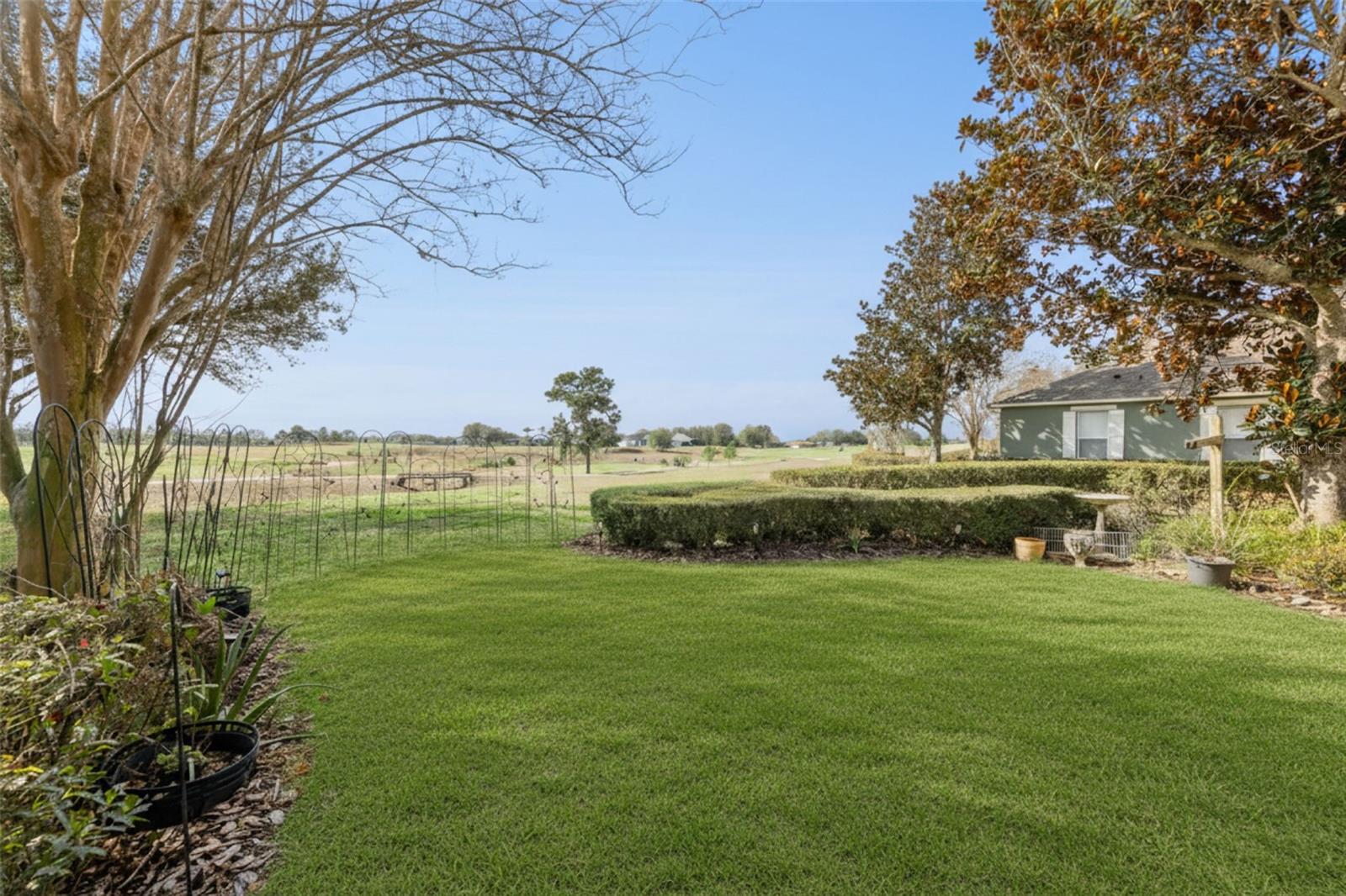 Image 18 of 21 For 34440 Tuscany Avenue