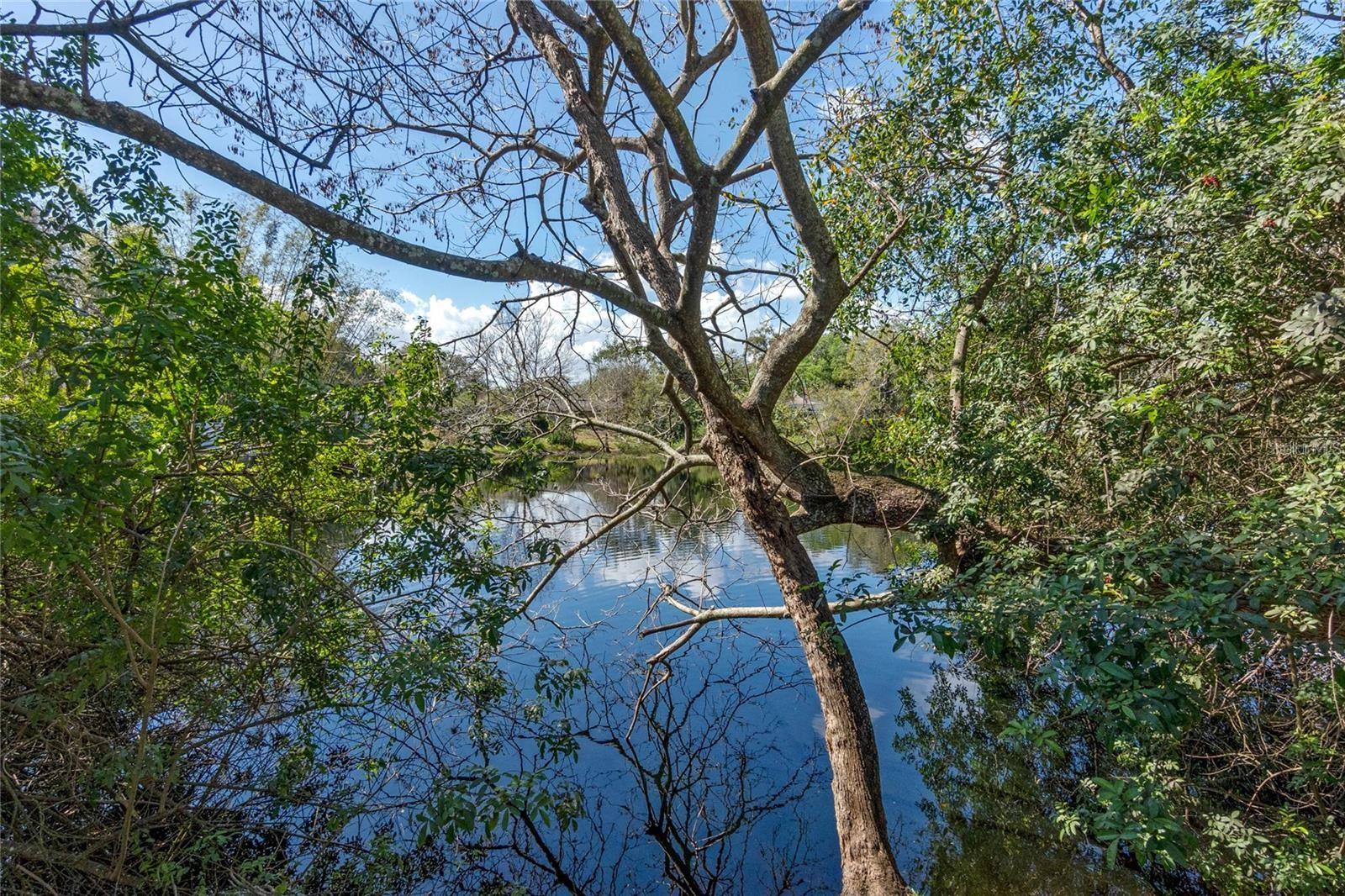 Image 14 of 19 For 1925 Lakemont Avenue