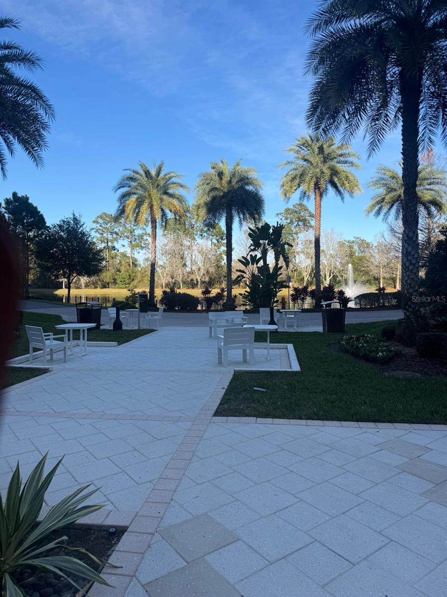 Image 34 of 40 For 14501 Grove Resort Avenue 3135