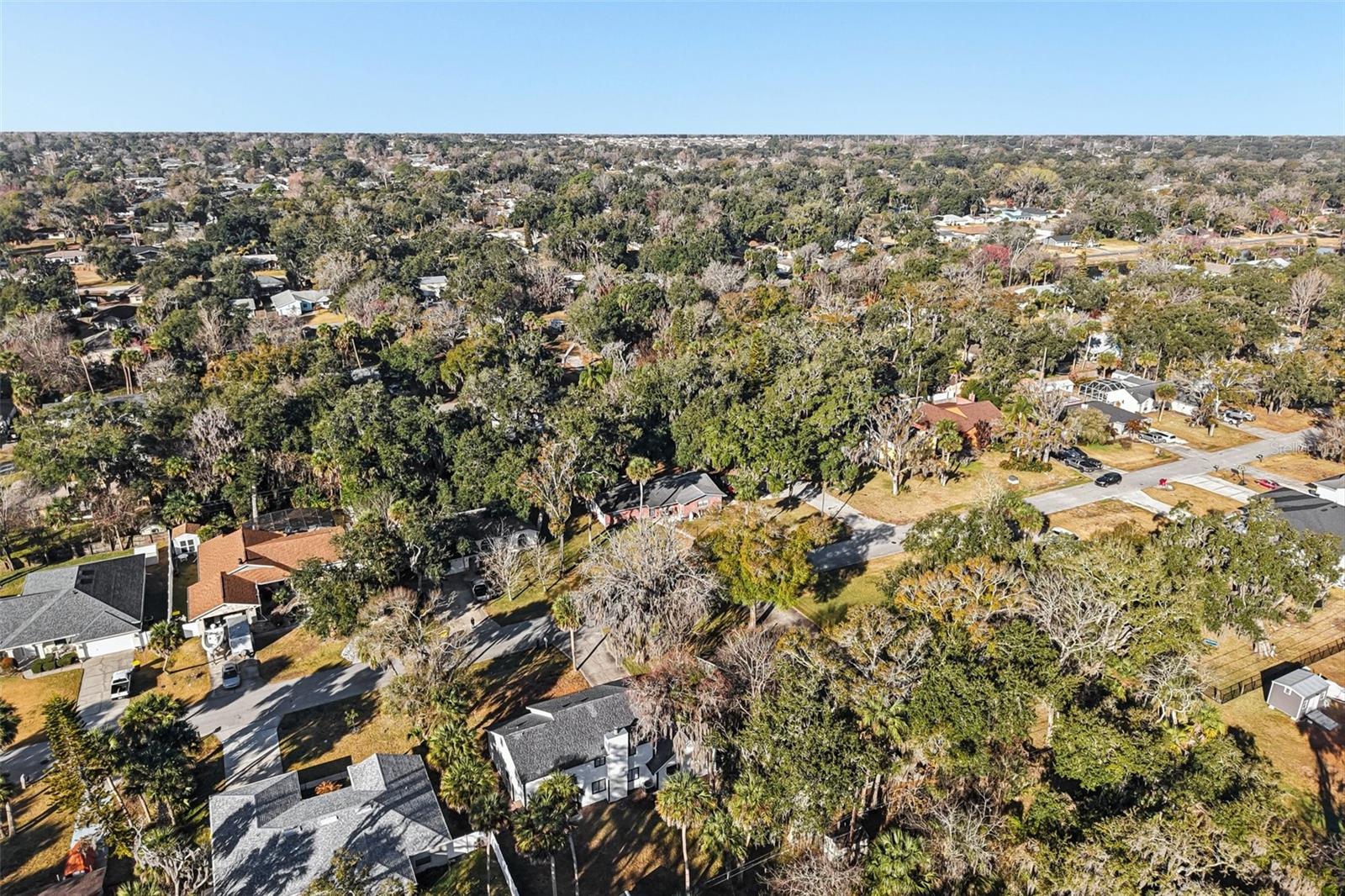 Image 46 of 53 For 2309 Kumquat Drive