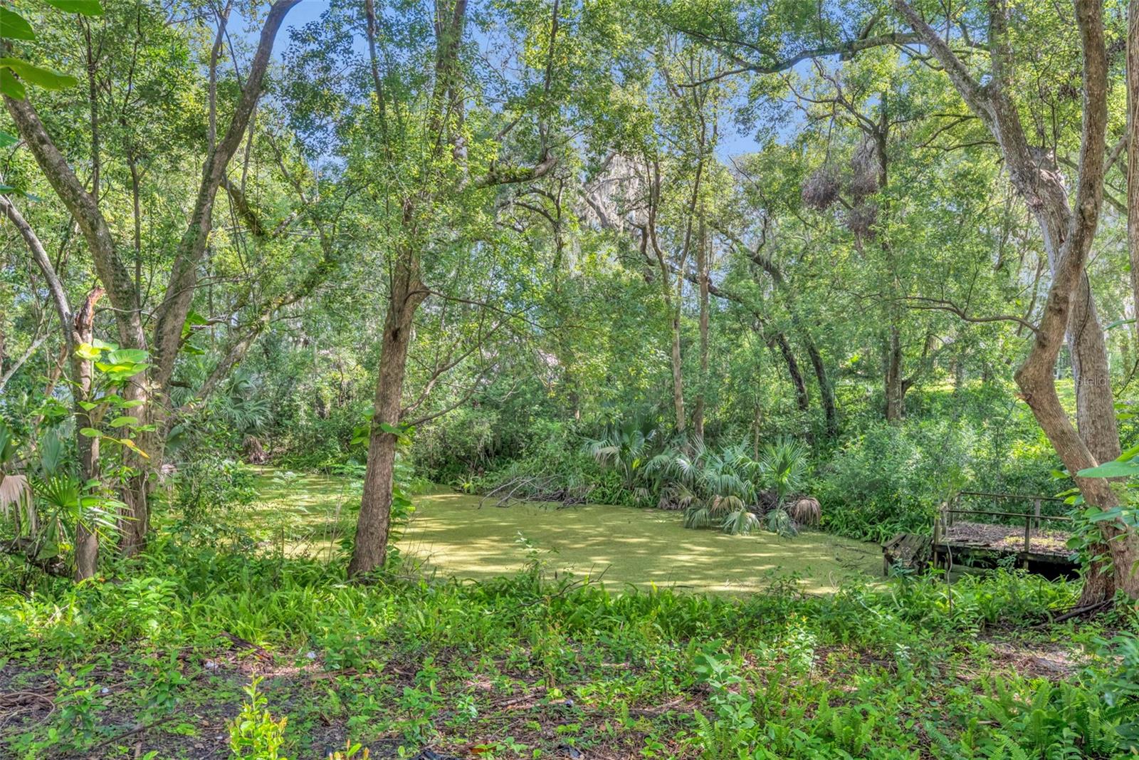 Image 3 of 4 For 5825 Maggiore Trail